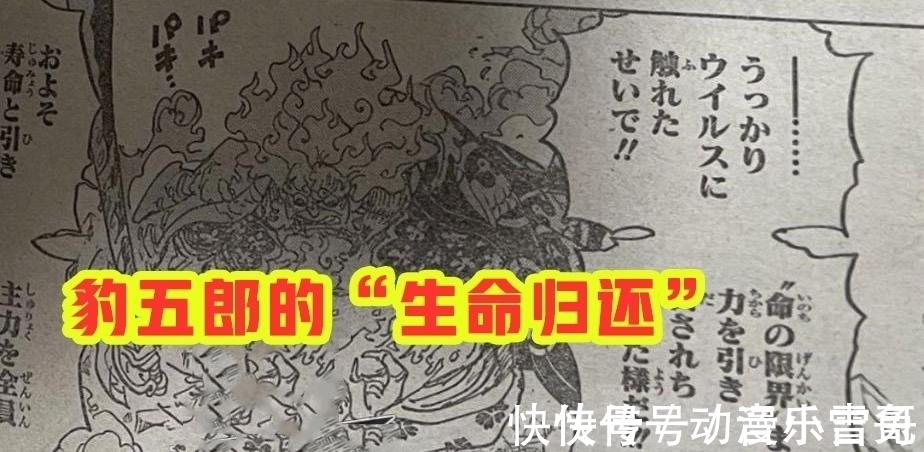 豹五郎|海贼王1006话:小马哥被烬斩落翅膀,豹五郎释放“生命归还”