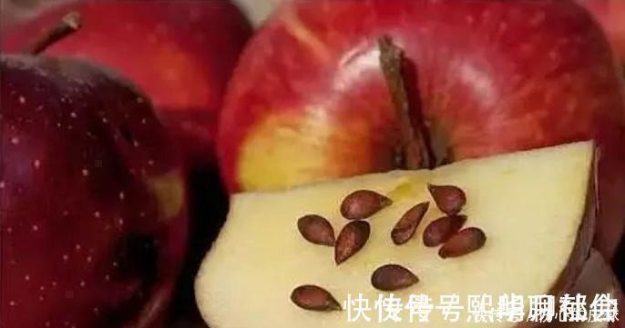 全球仅1国!用600吨垃圾,硬生生建了条高速公路,中国太厉害