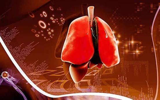 肝火|身体上火,会连累五脏心火、肝火、胃火,各有几个对应症状