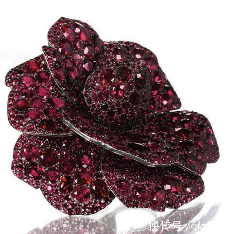 款项链|超级富豪莉莉·萨夫拉,一生共结了四次婚,收藏的珠宝堆积成山