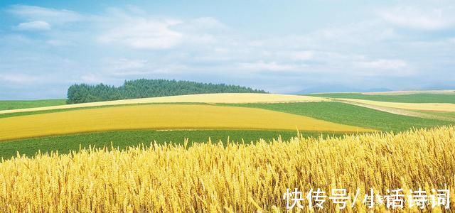 菲比|《麦田里的守望者》:书中的守望者是谁?读者:这个守望者叫善良