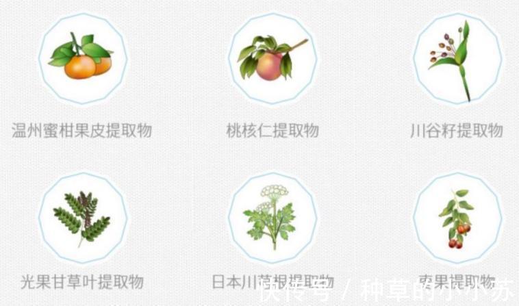 护肤品 护肤品别总跟风,这3种“国货”也好用!我不说,你未必会知道!