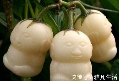 人参果|聪明的人最会养身，3种食物经常换，可排出体内毒素，延缓衰老