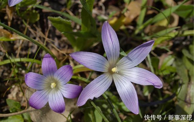 世界|能容纳世界的人,有一颗比这世界还要宽广的心