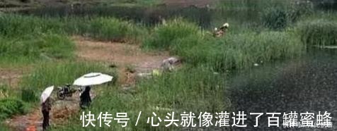 水草处|秋钓草边“三钓”、“三不钓”，用好了总有一次要爆护！