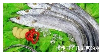 补脑|比猪肉便宜，比羊肉滋补，一斤10元，很少有人懂，多吃补脑身体！