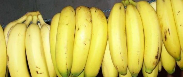 鞣酸|让人倒下的是无知,吃香蕉的2大禁忌,大家要了解