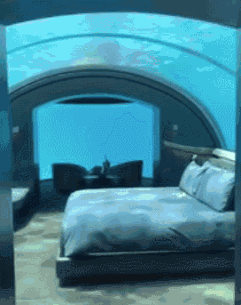 |搞笑GIF:这是哪一路公交车,司机这么漂亮,我也要去坐