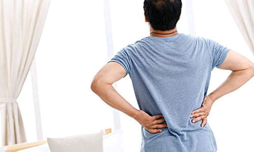 补充肾气|阳气不足腰就酸?枸杞和它是“绝配”,帮你归还阳气,补充肾气