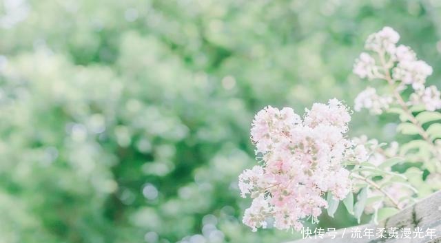 以夏日为题,请你写一首诗词