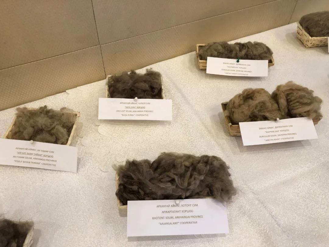  山羊|还在冲 Burberry？它才是更有“性价比”的羊绒围巾