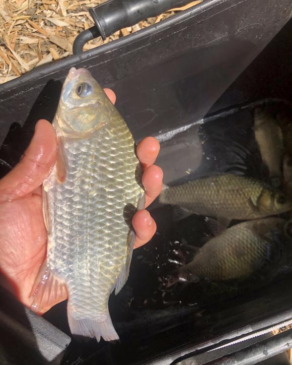 渔具|为你的渔具包减负,轻松简便方案推荐,大包小包像逃难