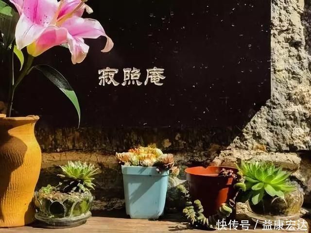 最美的尼姑庵，不烧香只种花，看一眼就想出家，韩红也慕名而来