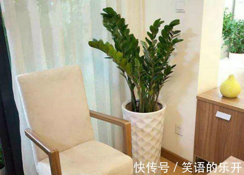 3种花少浇水,不浇长的旺,一浇就烂根