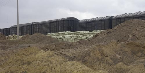  养花|养花的“伴侣”你知道是什么吗？而且使用率很高