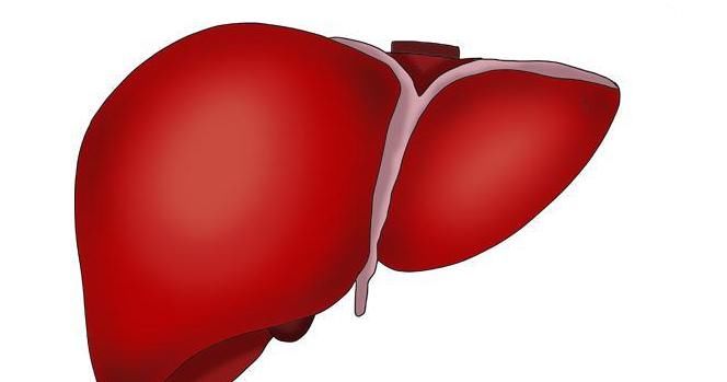 早晨是養肝黃金期，早餐吃什么好？肝病醫生：4種早餐應該多吃