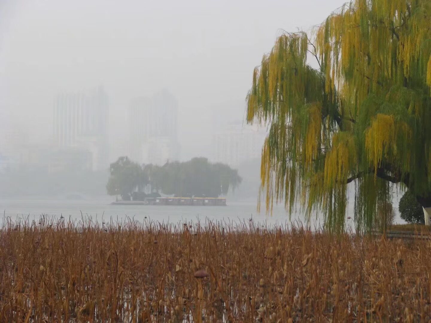 宋国人@国学成语故事（48）大国也有大国的难处之鞭长莫及