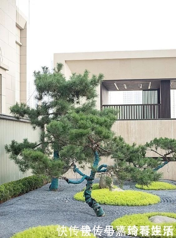知识|房产证的重要性，你必须知道！丨买房涨知识