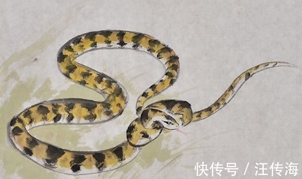 好运|2022年初大富大贵发大财,3生肖八方入财,一年比一年更有钱