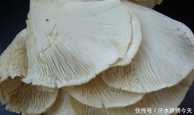 不停|老婆做的这个夫妻肺片没有肉,4样素菜组一盘,尝一口就吃不停筷