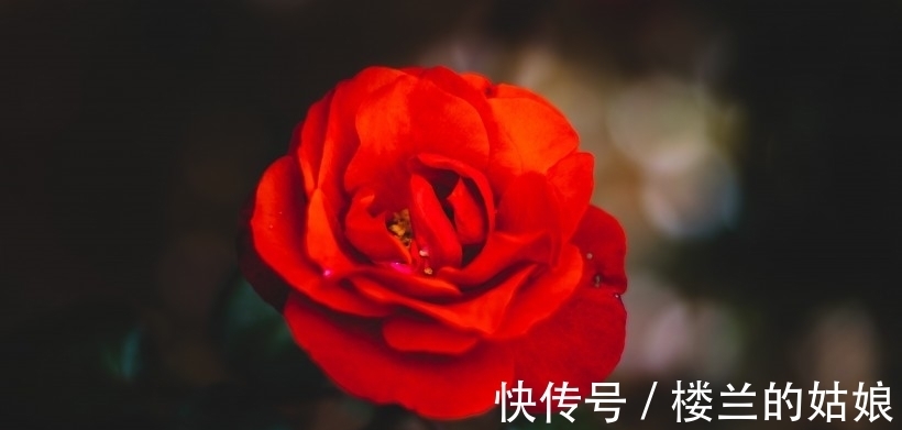 月老|7天后,月老帮忙,无法告别,旧爱回头,真爱来临,余生不离不弃