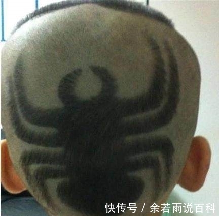 奔驰|这些发型真是太出彩了,感觉宝宝们被妈妈爸爸给坑爹了