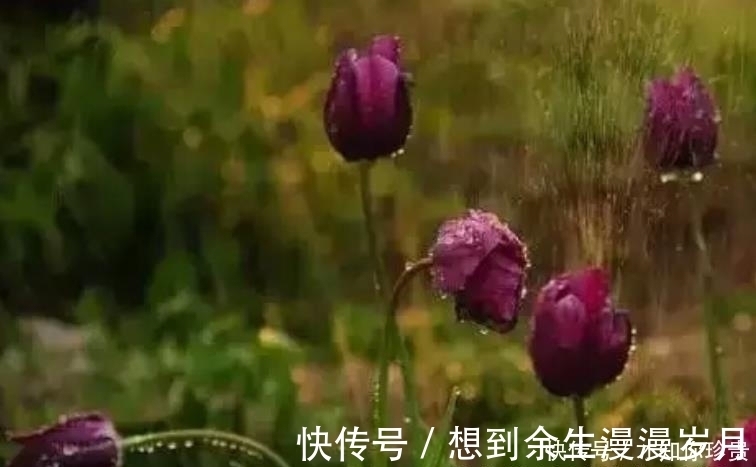 自驾游睡车里，夜晚下雨，被子淋湿，水却不是从窗户进来