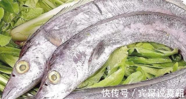 带鱼|想买到优质的带鱼靠经验,记住“4买3不买”,避免上当受骗!