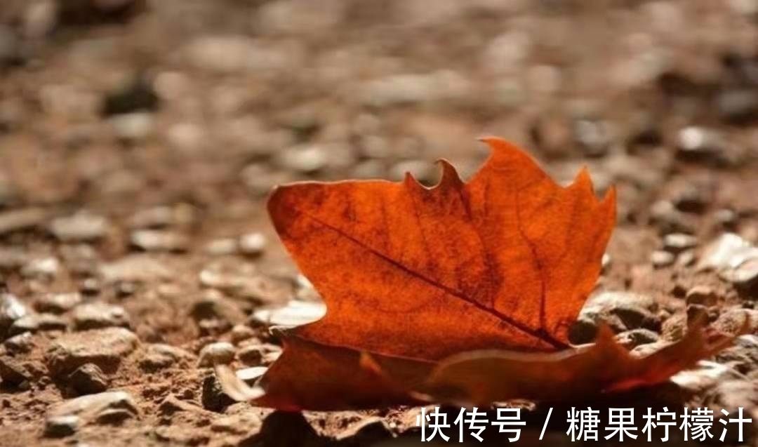 元稹#诗人元稹因思念老朋友,在病中写下一首诗,成为感动人心的佳作