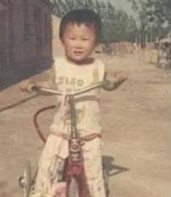 张亮苦心经营多年的“好爸爸”人设崩塌,他该何去何从