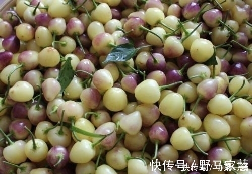五彩椒|女性坚持早上空腹吃此物，色斑没了，皮肤细腻光滑，甩掉大肚腩