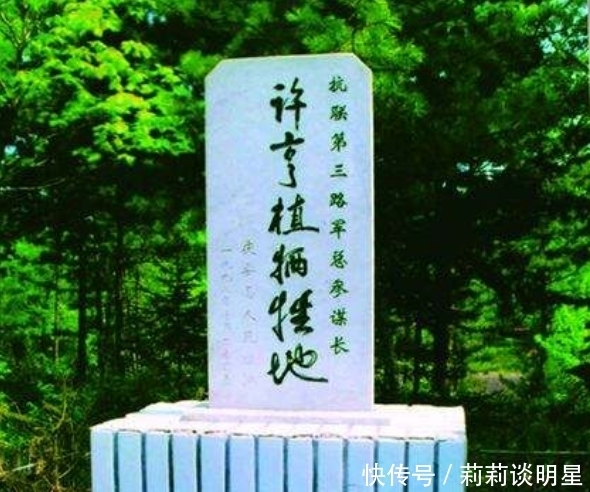 许亨植就|1942年,将军吃饭时看到一只鸟,当下扔掉饭碗就逃跑,他发现了什么