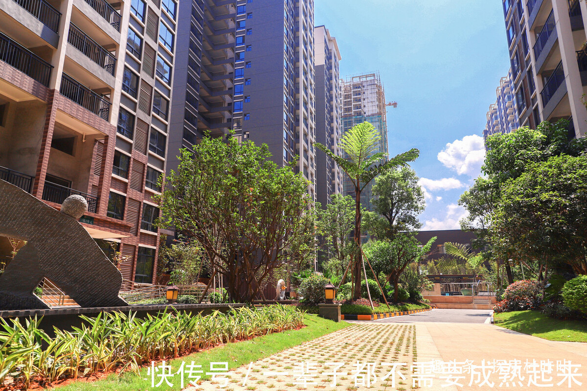 顶楼|建筑学家提醒买房时“买三不买二、远3近2”,才是内行人做法