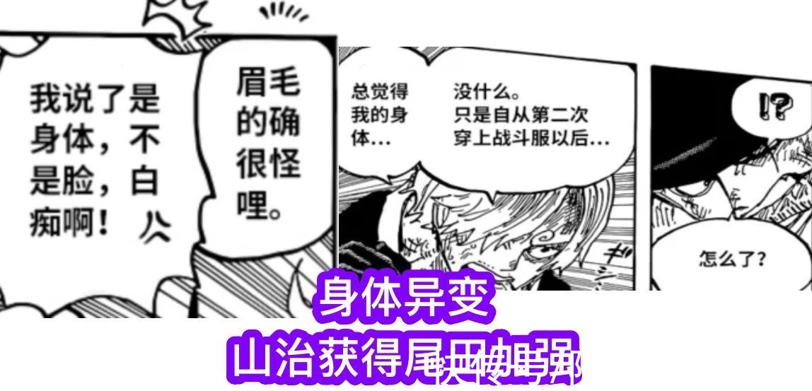 炎灾烬|海贼王1028话：山治史诗级加强，最成功的改造人，能自动修复伤势