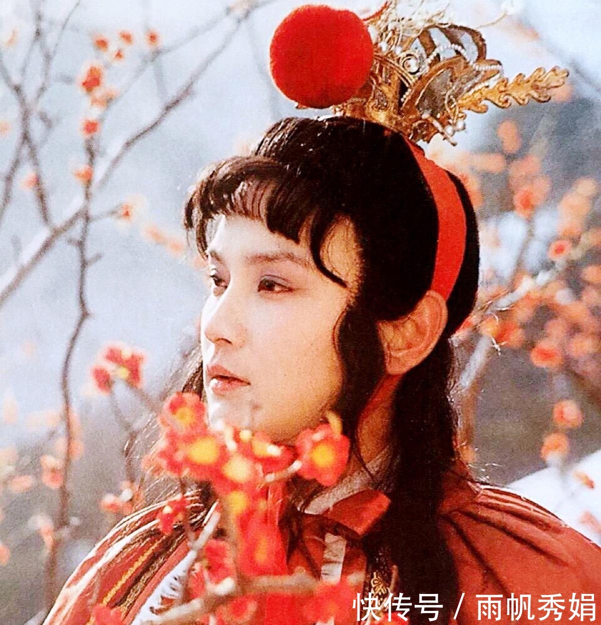 林黛玉|一次“掉包儿”,伤了许多人