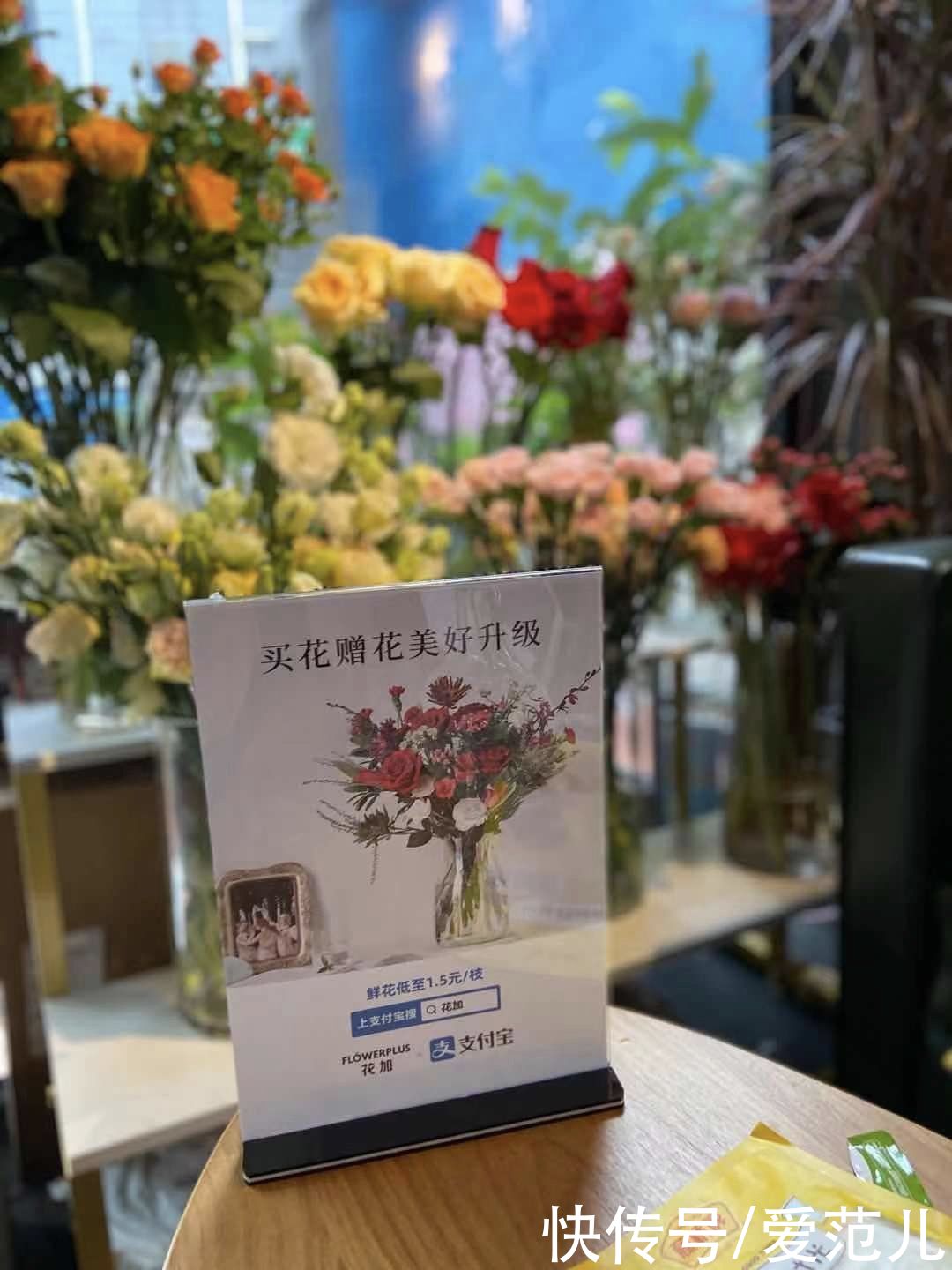 品牌|支付宝重压搜索运营，走了和微信、百度不同的路