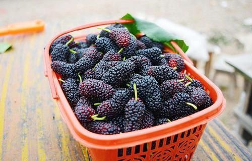 水果|有4种水果寄生虫非常多,大人尽量少吃,更别说小孩,最好都别吃