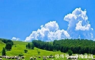 萋萋&十五首描写小草的古诗词,为君闲暇助兴,茶余饭后解闷