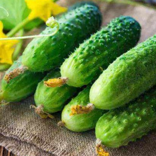 酒精肝|黄瓜营养不营养，关键你怎么吃，吃对了防中毒，吃错了患癌症！