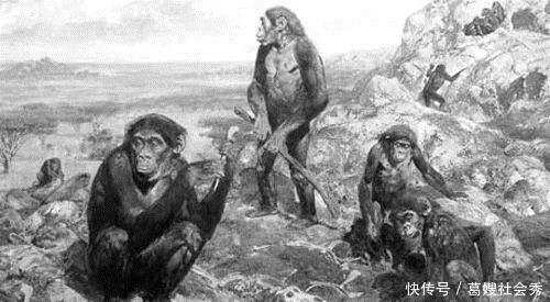 史前原始人类生活大揭秘 研究员 原来我们的祖先不是类人猿 快资讯