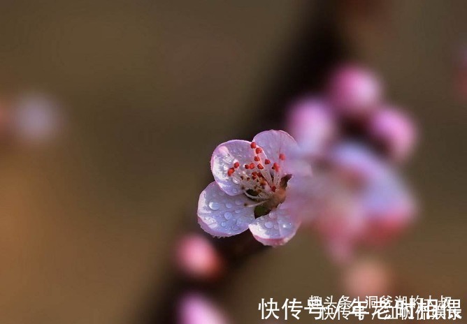 老板娘|长得好不如生肖好，看这三大生肖女，不是少奶奶就是老板娘！