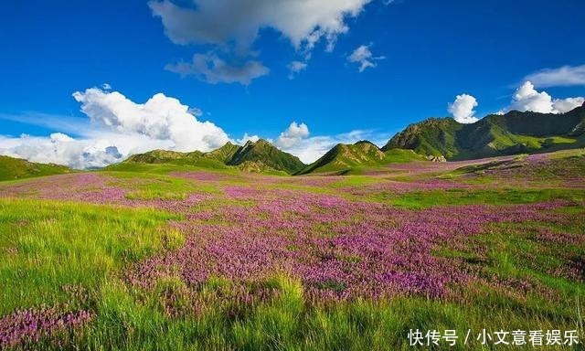 适合|青海不只有青海湖！这个美丽小县城，最适合抓住夏天的尾巴！