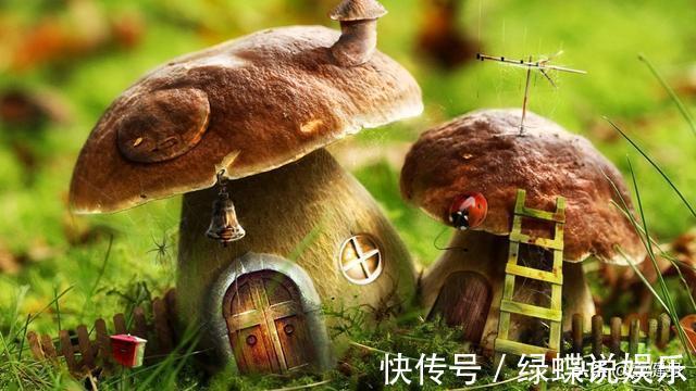 水果类|为什么有人越吃越瘦常吃这3大类食物,刮油燃脂,让你周瘦9斤