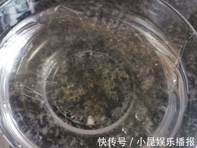 孩子在家吵着吃蛋糕，无奈之下自己动手给孩子做，孩子吃了一半