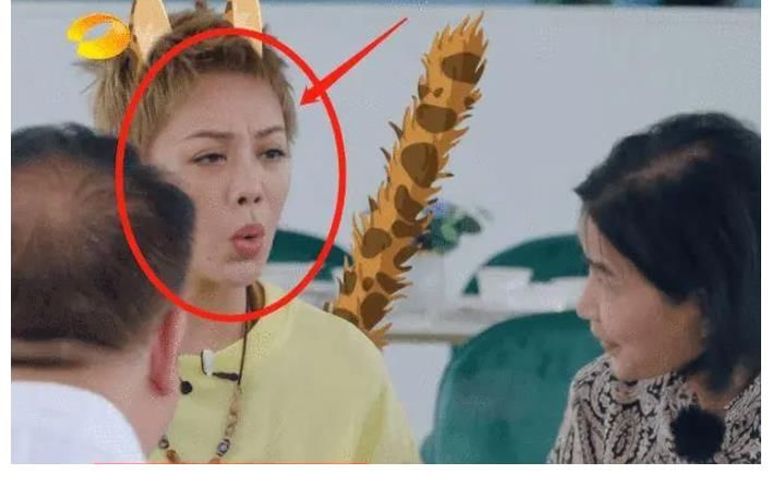 宁静|黄晓明只吃一根面，剩面让丁真吃，宁静怒斥太作，倚老卖老没必要