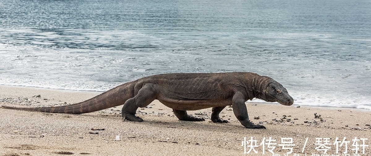 科普|每日科普:趣味冷知识分享(十二)奇怪的知识又增加啦!
