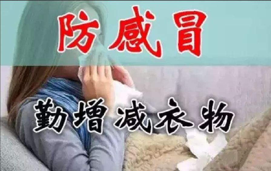 养生|今日出伏,吃3瓜、3肉、4点,别做6件事!