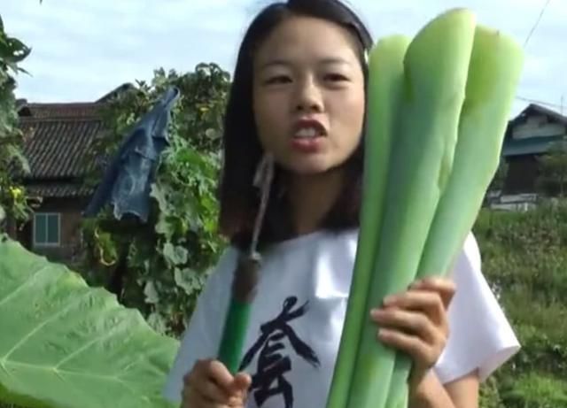 农村地区的这种野菜，很多人以为都不能吃，其实清炒出来特别美味