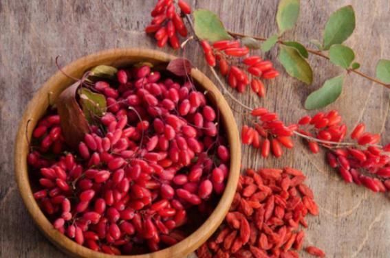 效果|枸杞怎么泡水效果最佳?专家给出“正解”!轻松获得5个“便宜”