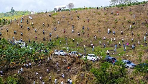 eco 人类为了拯救受伤地球所进行的13个项目